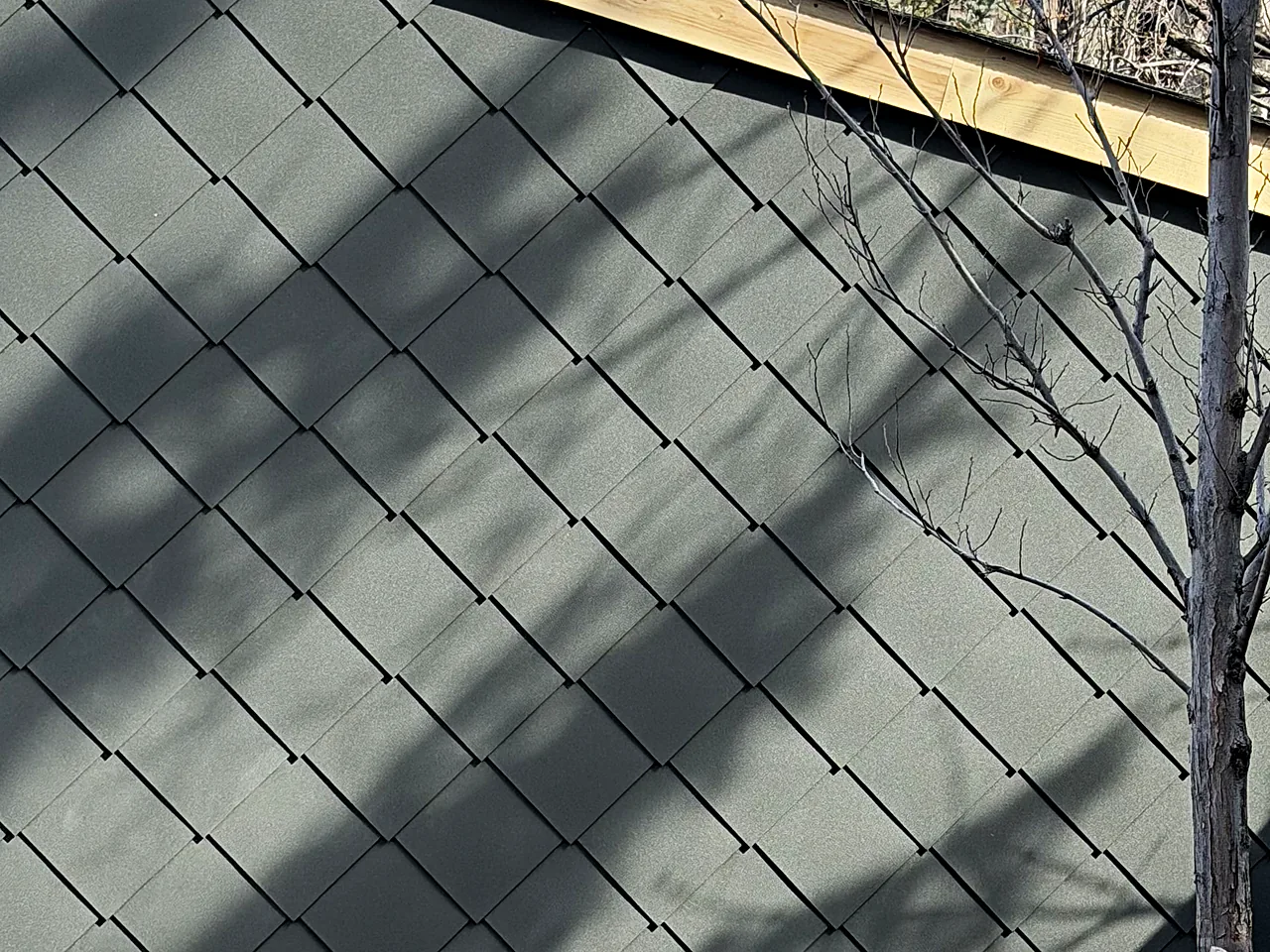 Zinc diamond panels in early spring