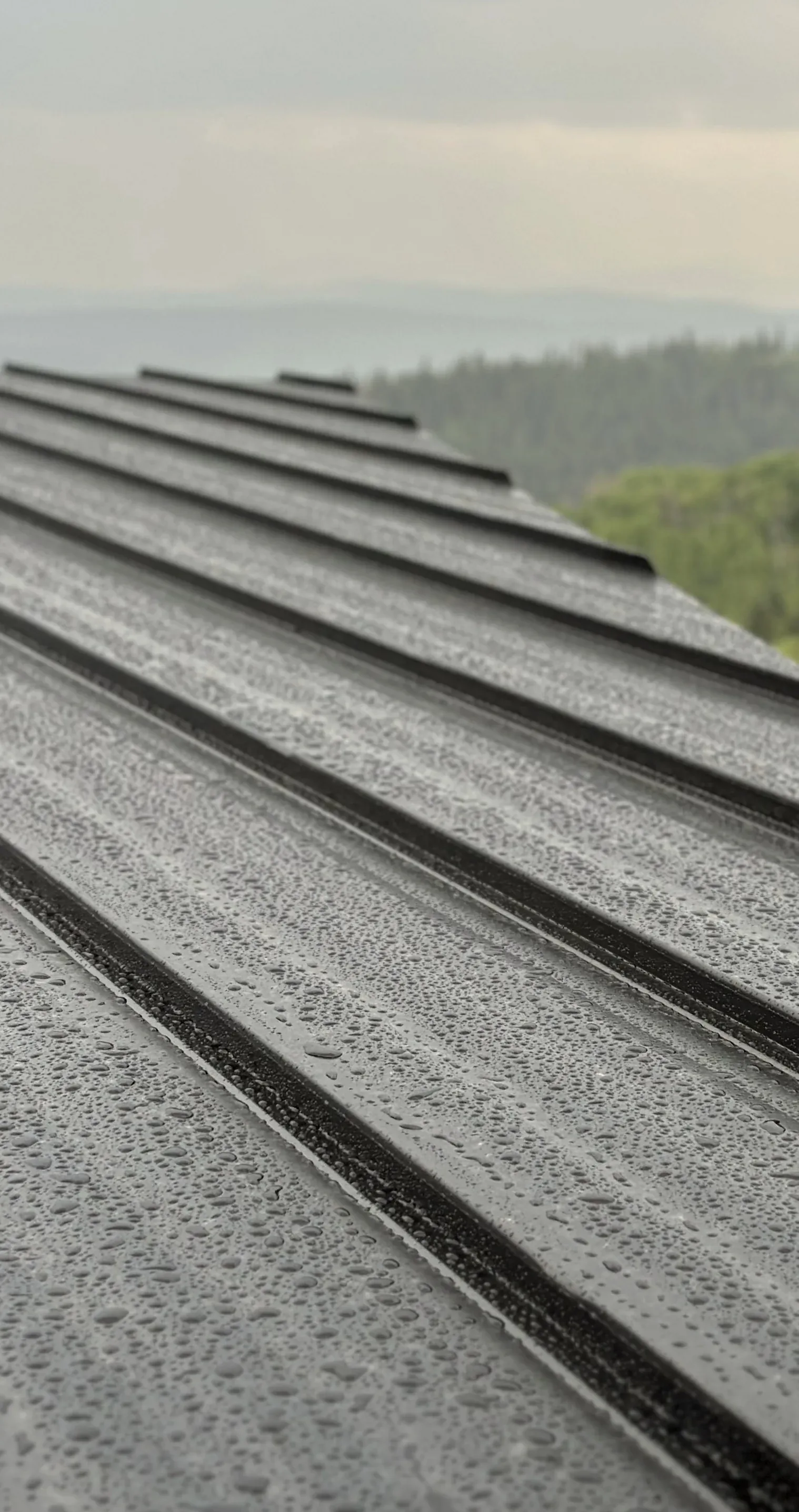 Standing seam roof with mountains behind