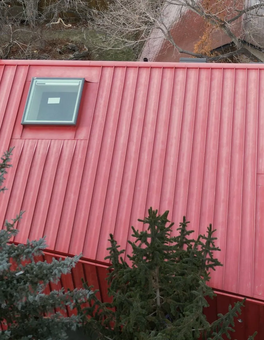 Skylight in a metal roof