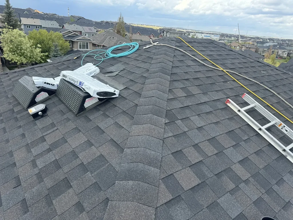 asphalt shingles roof