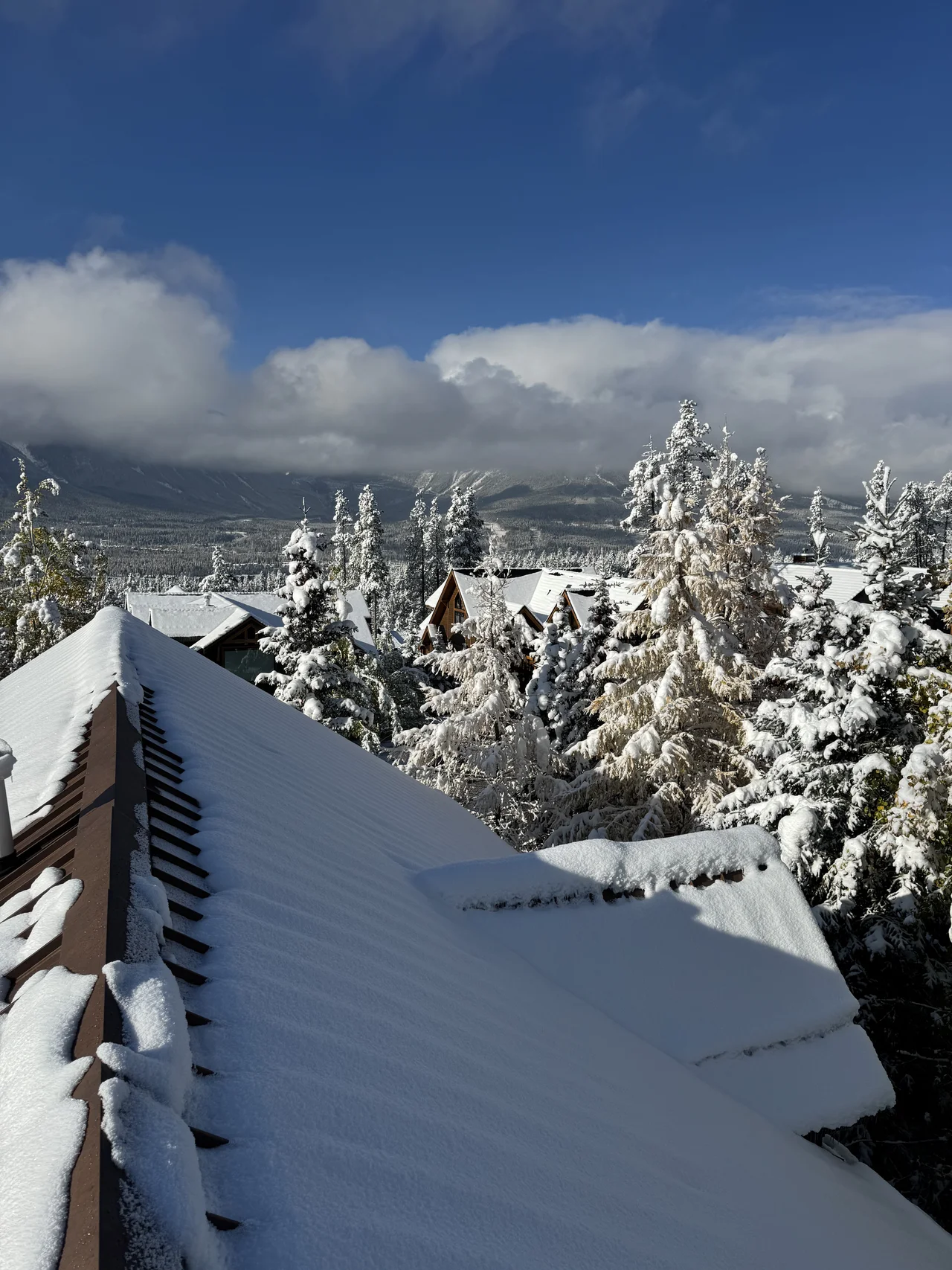 canmore metal roofing